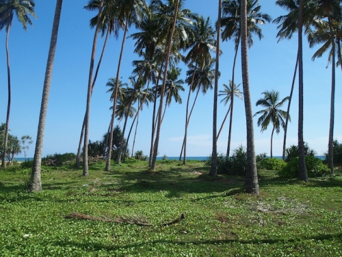 Large portion of beachfront land