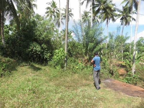 Bare land with the Ocean view