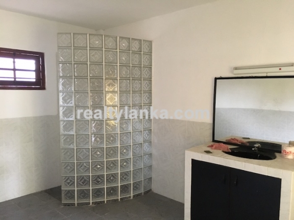 Property with a paddy view