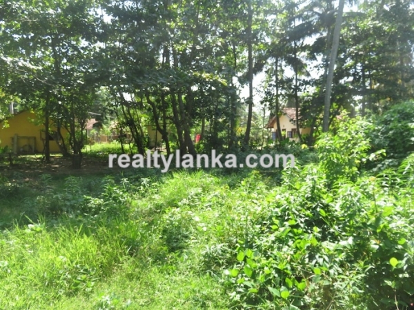 Beachfront property with panoromic view