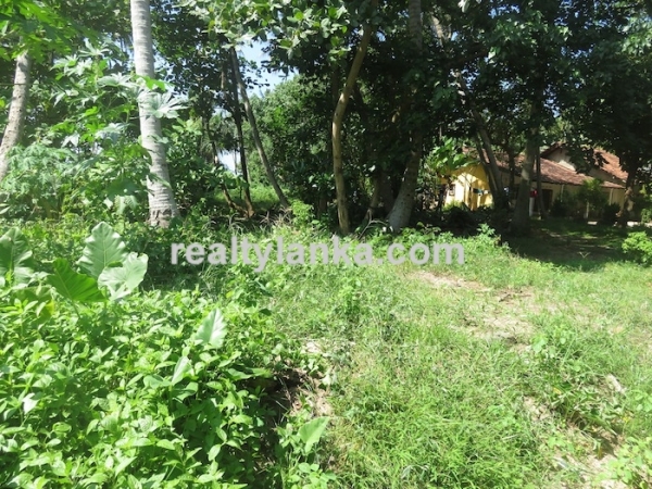 Beachfront property with panoromic view