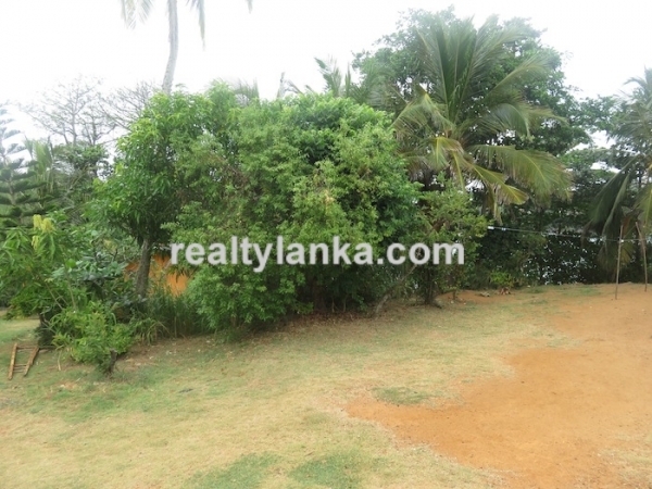 Beachfront 100 Perches Land