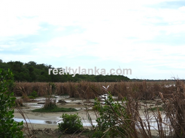 Bare Land Facing the Lagoon