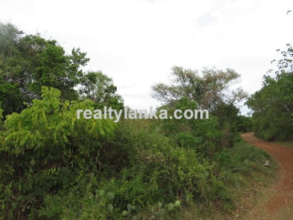 Bare Land Facing the Lagoon
