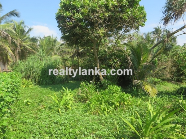 Beachfront property with panoromic view