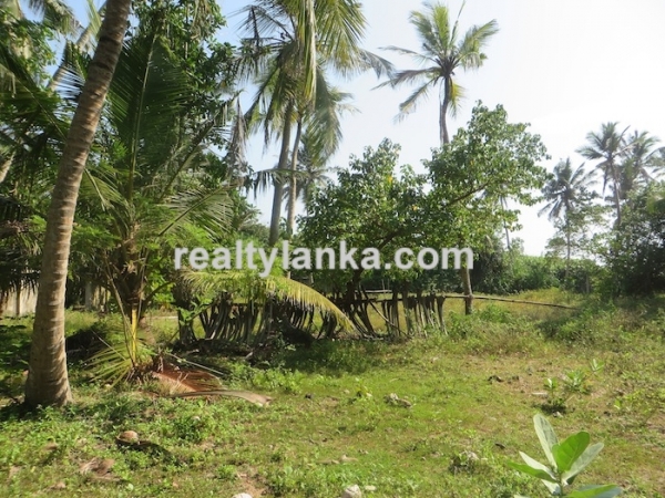 Beachfront property with panoromic view