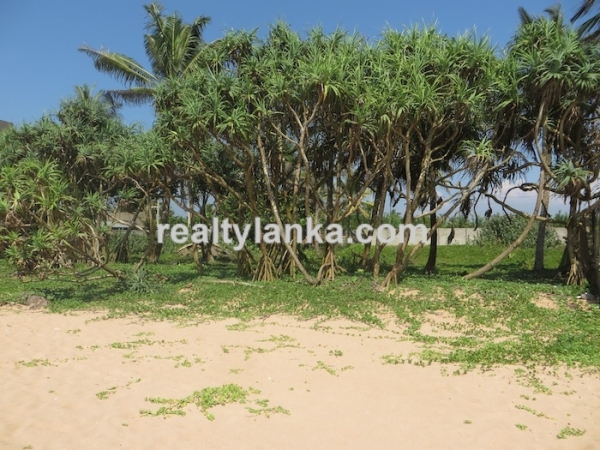 Beachfront 83 Perches Land