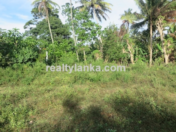 90P Perches in Midigama