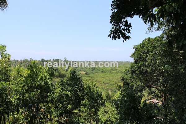 Bareland In Ginthota