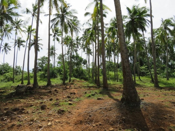 Beachfront property with panoromic view