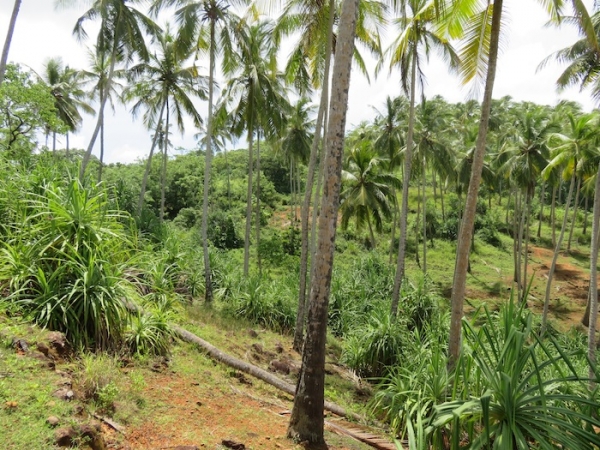 Beachfront property with panoromic view