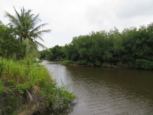 Peaceful Relaxing River Front Property