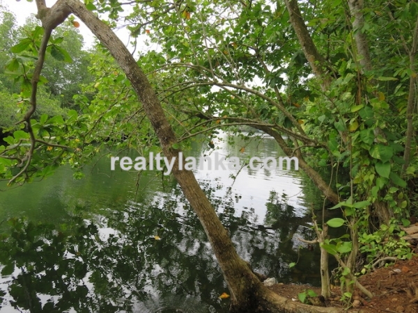 River front Proprty In A Calm & Quiet Area