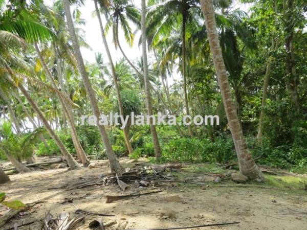 Propert In Donra Beach