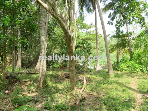 Propert In Donra Beach