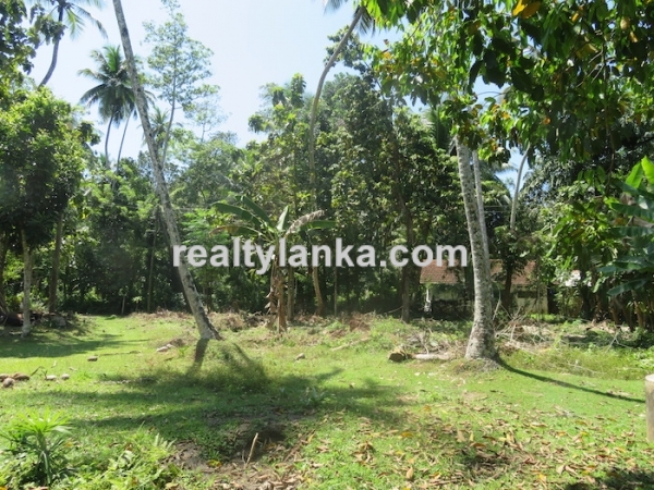 A Small Colonial House In Habaraduwa