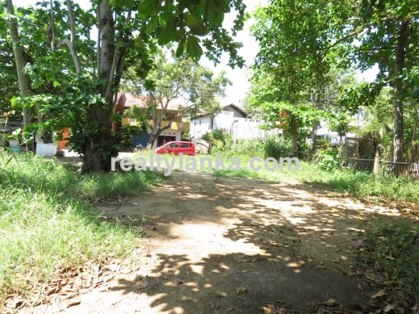 12M Beachfront Property In Dickwella