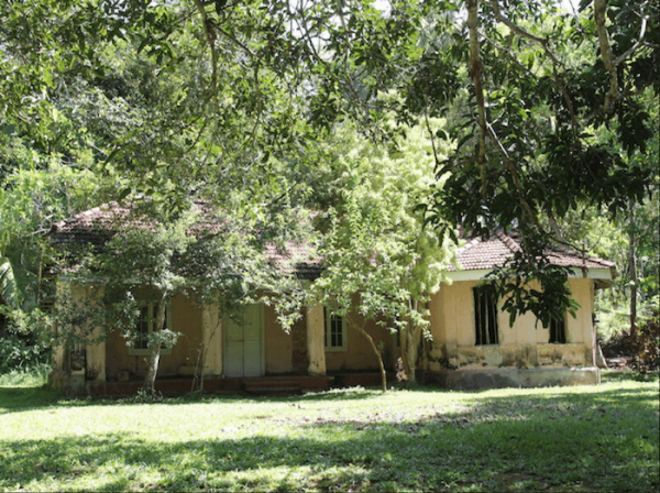 Property With A Paddy View