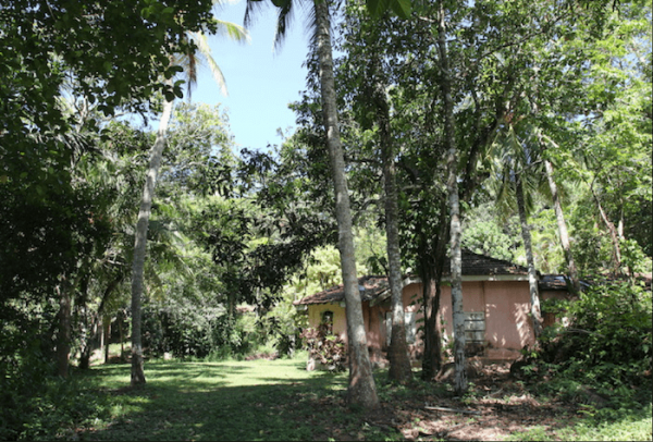 Property With A Paddy View