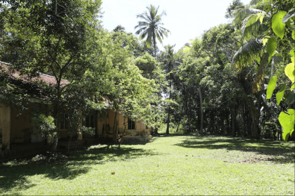Property With A Paddy View