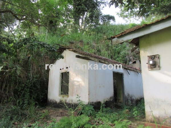 Elevated Paddy View Property In Mirissa