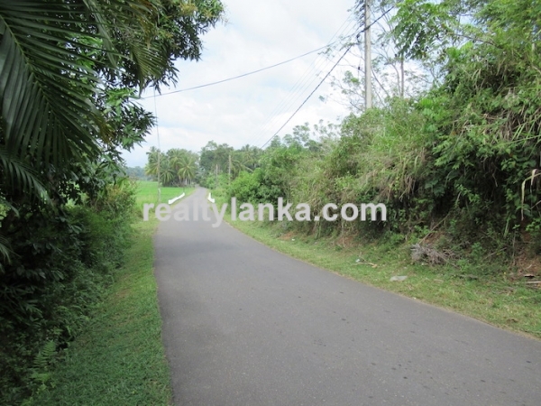 Property With A Beautiful Paddy View