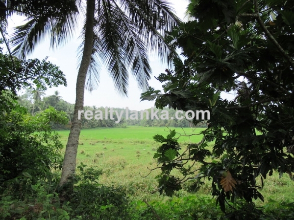 Property With A Beautiful Paddy View