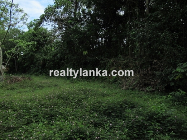 Property With A Beautiful Paddy View