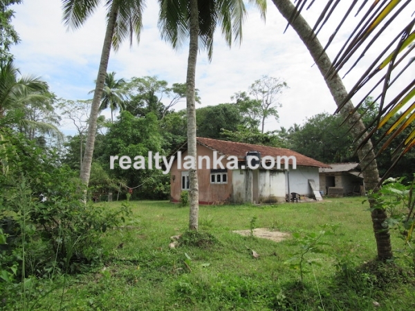 Property With A Beautiful Paddy View