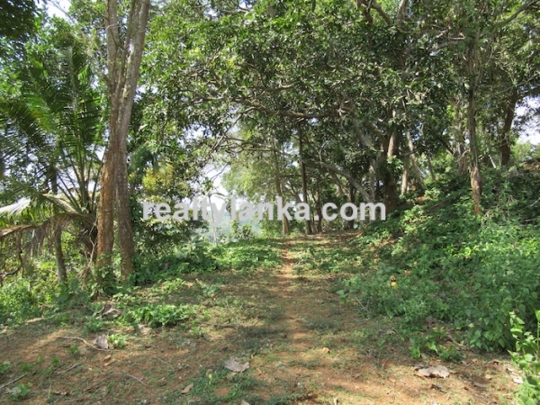 Elevated Property with a Paddy View