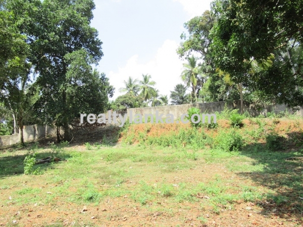 Elevated Property with a Paddy View