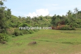 Property with a Relaxing View Over Paady AI 08