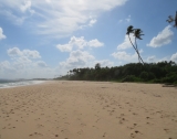 7.5 Acres Beach Property In Rekawa TB 04