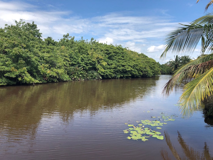 Bareland By The Water AI 20